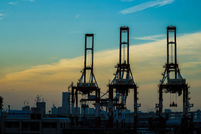 Cranes at sunset