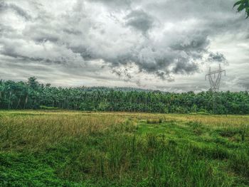 Scenic view of field against sky