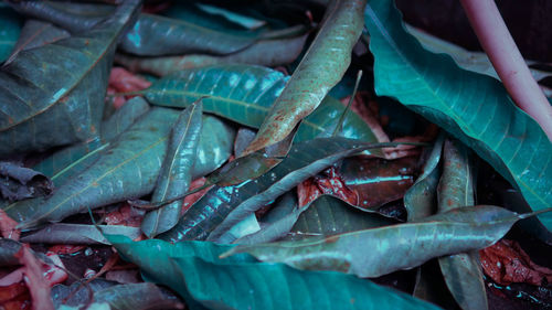 High angle view of vegetables for sale in market