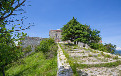 Footpath amidst trees against clear blue sky