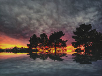 Silhouette trees against dramatic sky during sunset