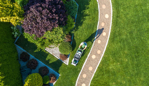 Directly above shot of man using lawn mower