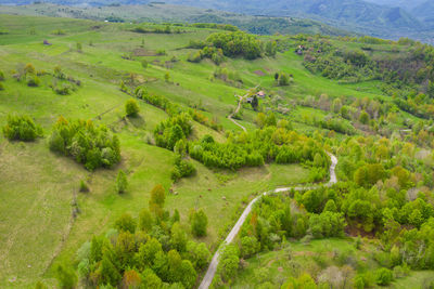 Aerial drone view of a green meadow, endless lush pastures and farmlands. transylvania, romania
