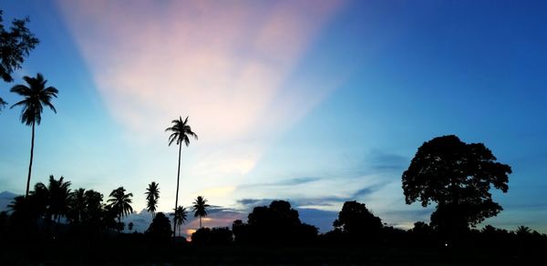 Low angle view of silhouette palm trees against sky