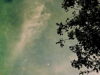 Low angle view of silhouette tree against sky at dusk