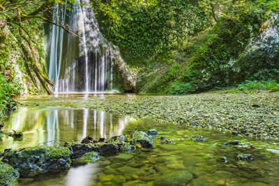 Scenic view of waterfall in forest