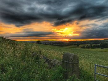 Scenic view of field against sky during sunset