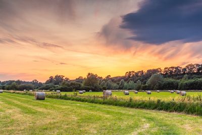 Scenic view of field against sky during sunset