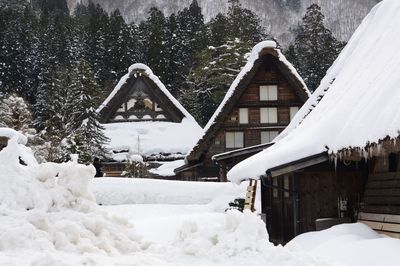 Snow covered houses and trees during winter
