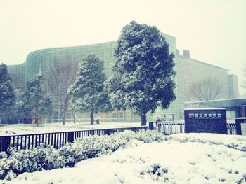 snow