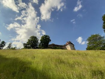 Plants growing on field against sky