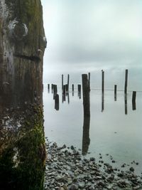 View of wooden posts in the sea