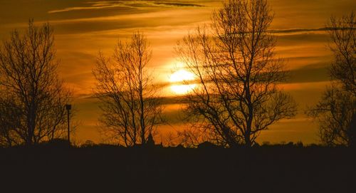 Silhouette trees against dramatic sky during sunset