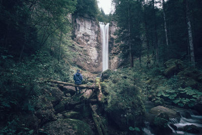 Waterfall in forest