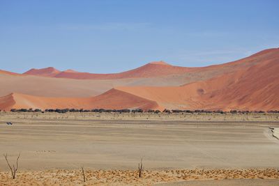 Panoramic view of namib desert