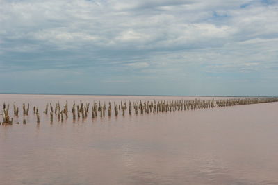 Wooden posts in sea against sky
