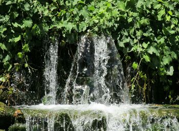 Scenic view of waterfall