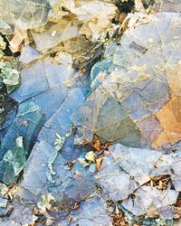 Full frame shot of autumn leaves