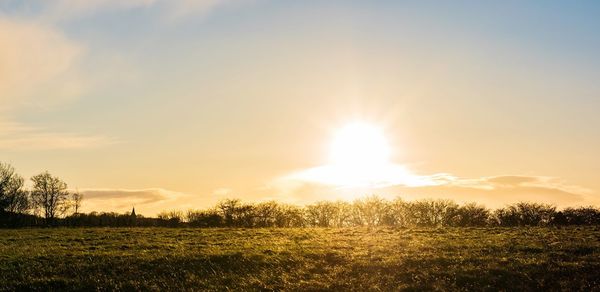 Scenic view of field against sky during sunset