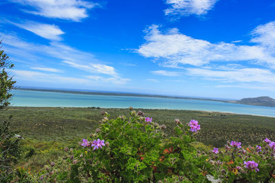 Scenic view of sea against cloudy sky