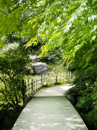 Footbridge amidst trees