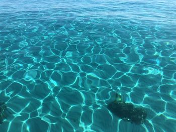 Full frame shot of swimming pool