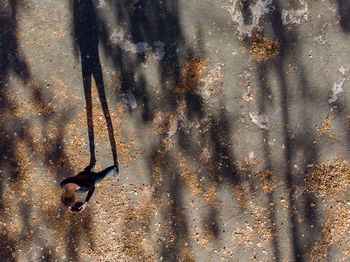 Shadow of woman on metal wall