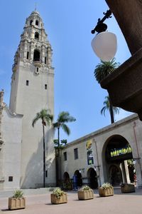 Low angle view of palm trees and buildings against sky