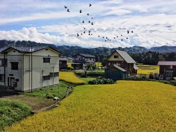 Scenic view of field by houses against sky