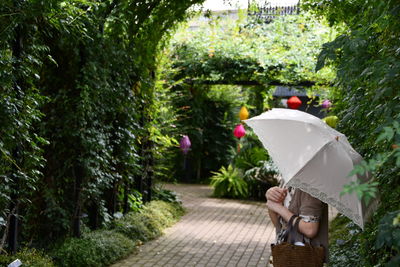 Person holding umbrella on footpath amidst plants