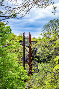 Low angle view of plants and trees against sky