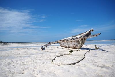 Boat moored at beach against sky