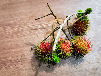 High angle view of berries on table