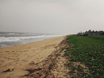 Scenic view of beach against clear sky