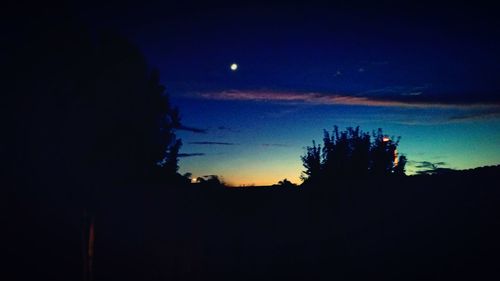 Low angle view of silhouette trees against sky at dusk