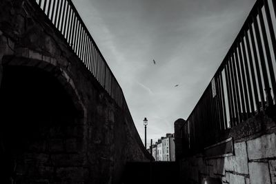 Low angle view of seagull flying over buildings against sky