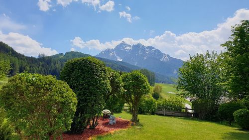 Scenic view of trees and mountains against sky