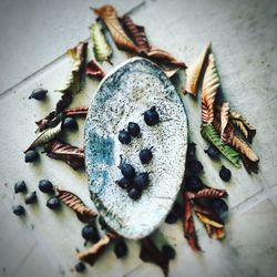 Close-up of food on table