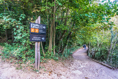 Information sign on road amidst trees in forest