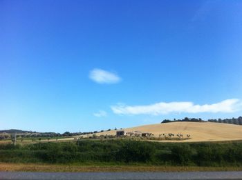 Scenic view of landscape against blue sky