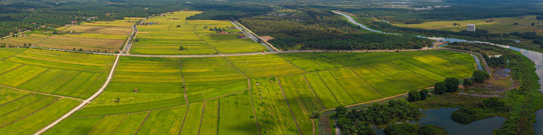 High angle view of agricultural field