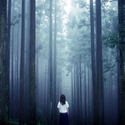 Rear view of woman standing in forest during foggy weather