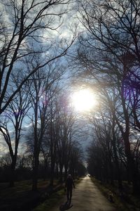 Road passing through trees