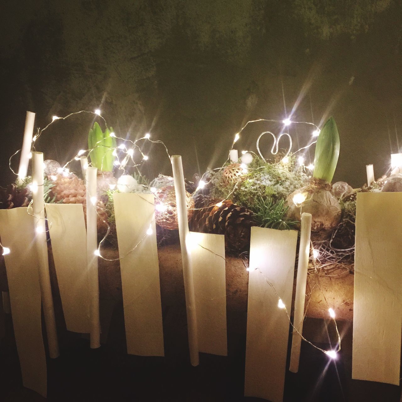 illuminated, night, lighting equipment, built structure, architecture, building exterior, light - natural phenomenon, decoration, glowing, house, street light, plant, no people, growth, wall - building feature, indoors, electricity, potted plant, dark, electric light