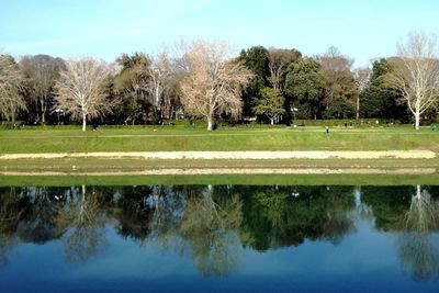 Reflection of trees in lake against sky
