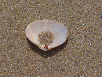 Close-up high angle view of sand