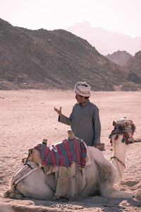 Man looking away while standing by camel in desert