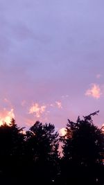 Low angle view of silhouette trees against sky at sunset