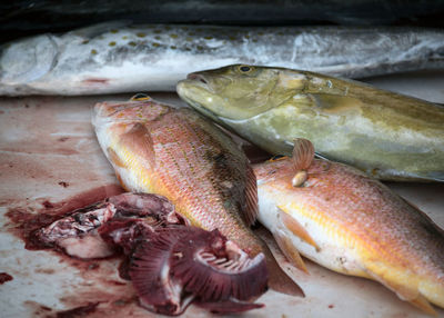 Close-up of fish being cut up in fish market 