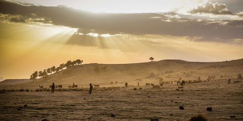 Group of people on field against sky during sunset